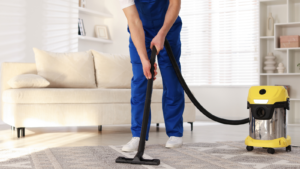 Domestic cleaning